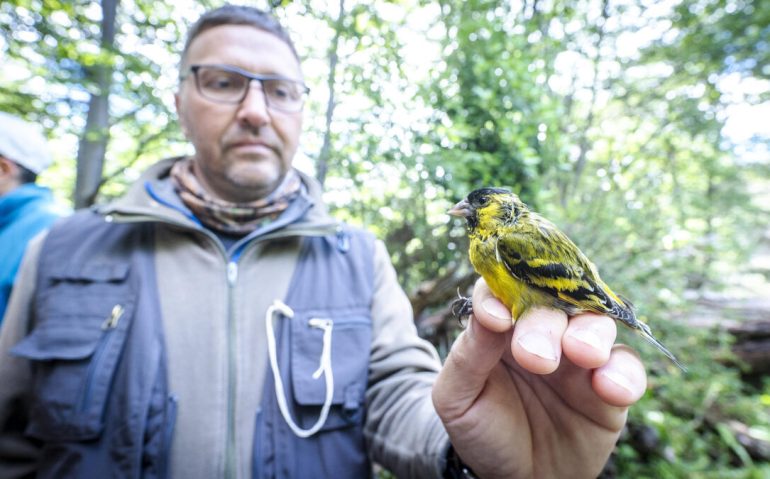 91d522ac-651f-641e-24be-2dff97003b51