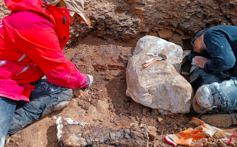 Captura de Pantalla 2026-04-12 a la(s) 14.23.27