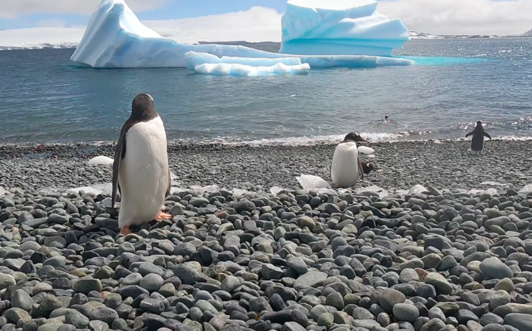 Captura de Pantalla 2026-04-25 a la(s) 17.46.38
