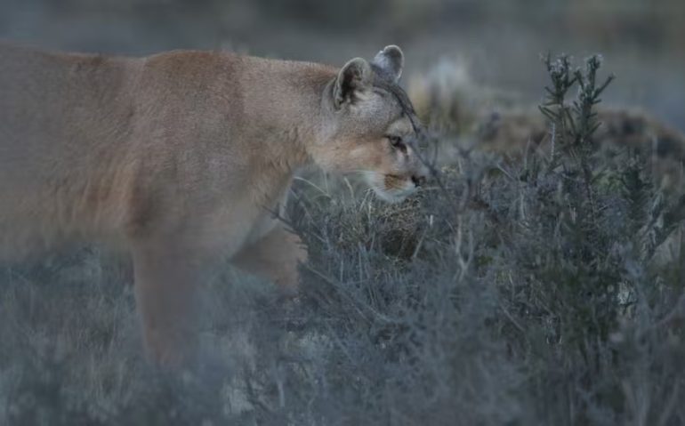 PHOTO-2025-11-04-08-47-54