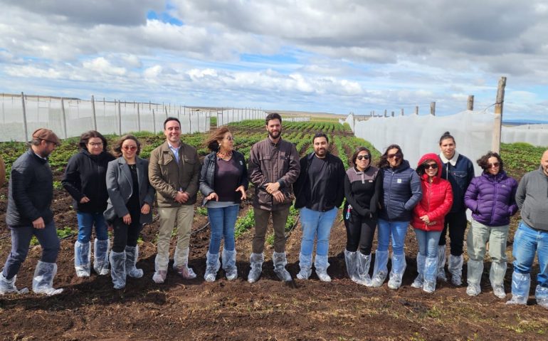 WhatsApp Image 2026-01-15 at 16.32.05 (1)