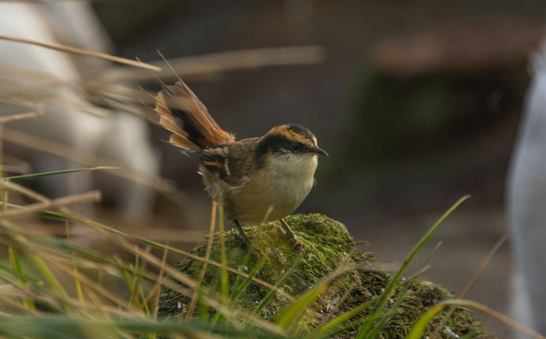 b717985e-7f52-fe36-f498-424fad028f4d